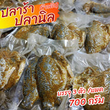 ปลาร้าปลานิลหมักข้าวคั่ว ตราไทยมานี ขนาด 700 กรัม