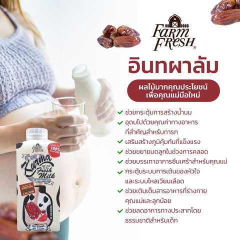 นมอินทผลัม Kurma Fresh Milk( 24 กล่อง)