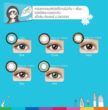 คอนแทคเลนส์ MAXIM รายเดือน กล่องฟ้า สีเทา (Gray) 0.0ถึง-9.00