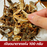 เขียดนาตากแห้ง ตรา ควีนแซ่บ 100 กรัม