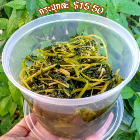 ผักเสี้ยนดอง ขนาด 350 กรัม ( 3 กระปุกเพียง $45)